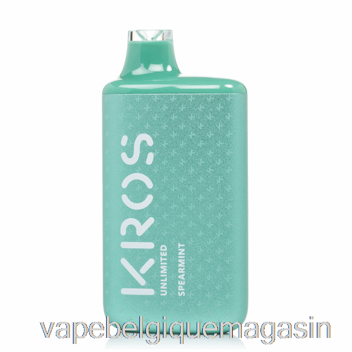 Vape Shop Bruxelles Kros Unlimited 6000 Menthe Verte Jetable